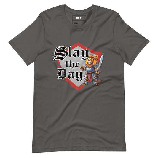 Gray t-shirt with 'Slay the Day' graphic design featuring a warrior and lion on a white background.